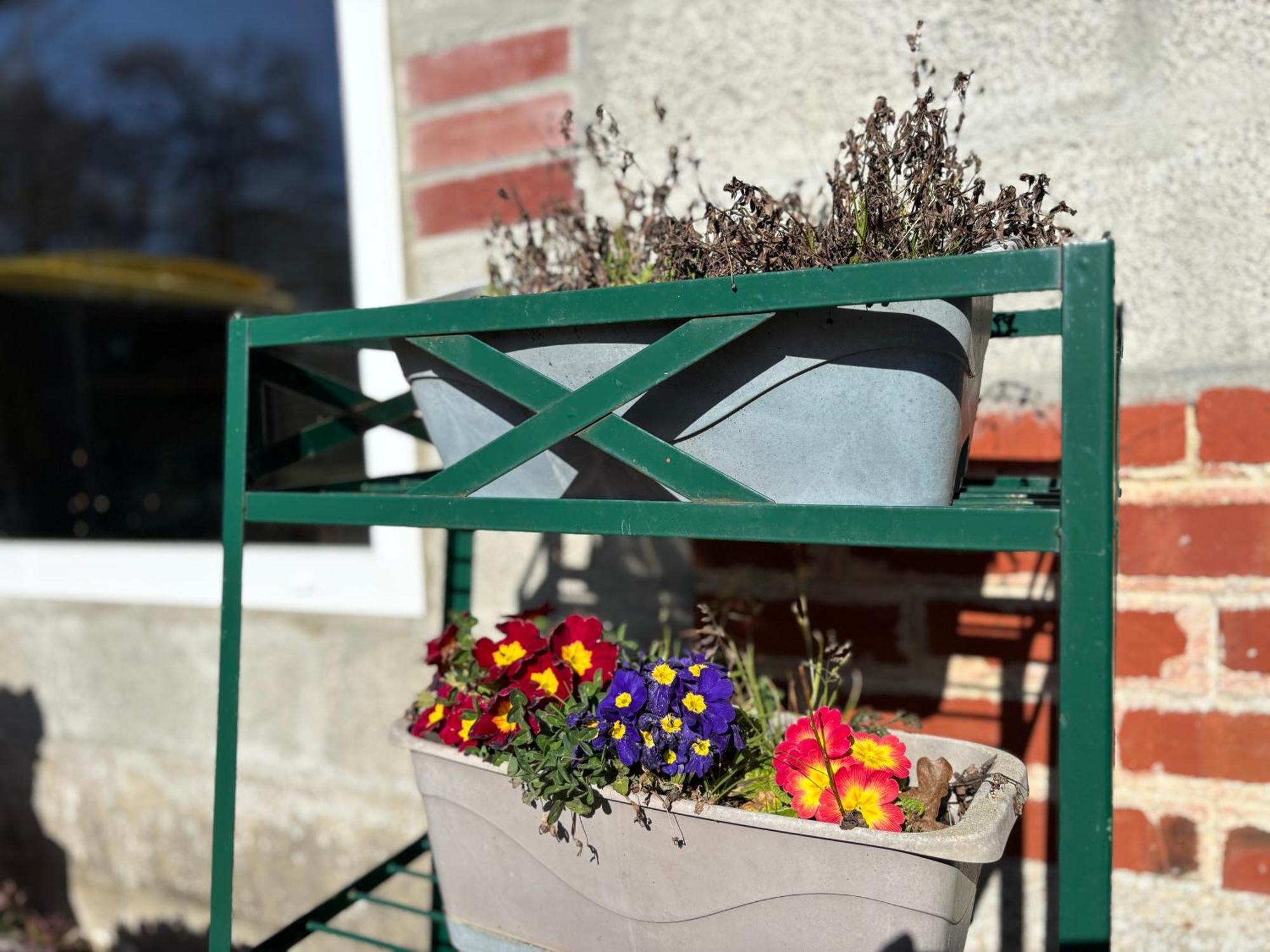 Lumineuse Spacieuse Dans Impasse Au Calme A Proximite D'un Chateau Deux Verandas Grand Jardin Pour Velos, Pres Port En Bessin Et Bayeux, Proche Plages Du Debarquement Ferienhaus *